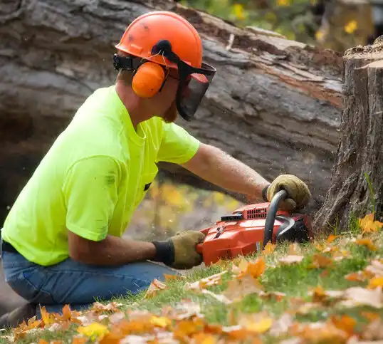 tree services Ramseur